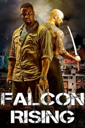 Chim Ưng Trỗi Dậy - Falcon Rising