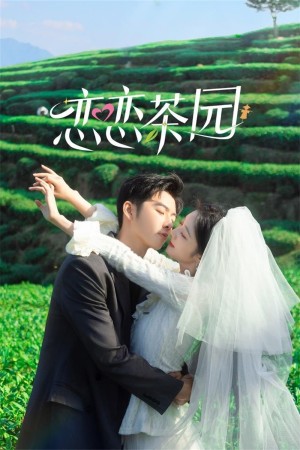 Đồi Trà Tình Yêu - Love in the Tea Garden (2024)