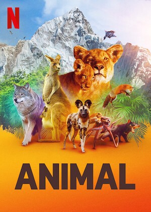 Động Vật (Phần 1) - Animal (Season 1)