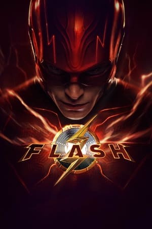 Flash - The Flash