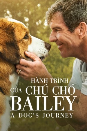 Hành Trình Của Chú Chó Bailey - A Dog's Journey