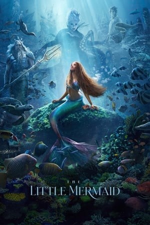 Nàng Tiên Cá - The Little Mermaid