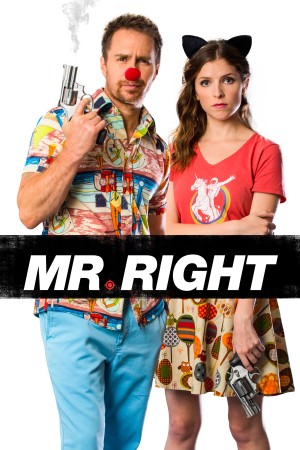 Người Đàn Ông Hoàn Hảo - Mr. Right (2016)