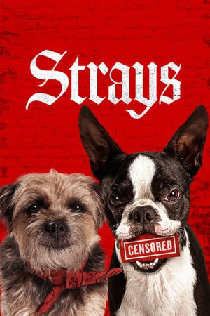 Những Chú Chó Bụi Đời - Strays (2023)