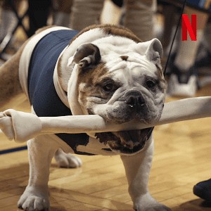 Những Chú Chó (Phần 2) - Dogs (Season 2) (2021)