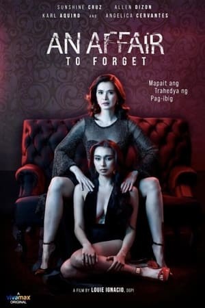 Quên Một Cuộc Tình - An Affair to Forget (2022)