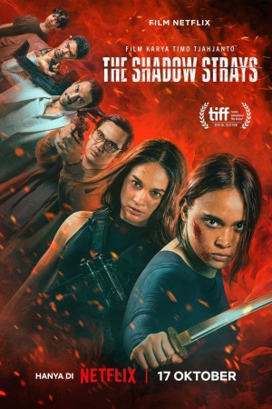 Sát thủ mật danh 13 - The Shadow Strays