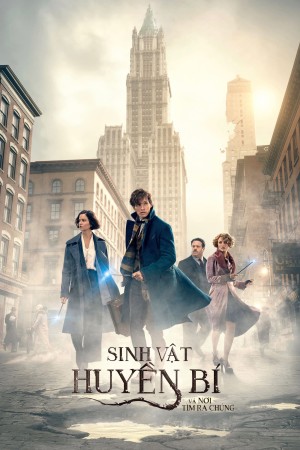 Sinh Vật Huyền Bí và Nơi Tìm Ra Chúng - Fantastic Beasts and Where to Find Them