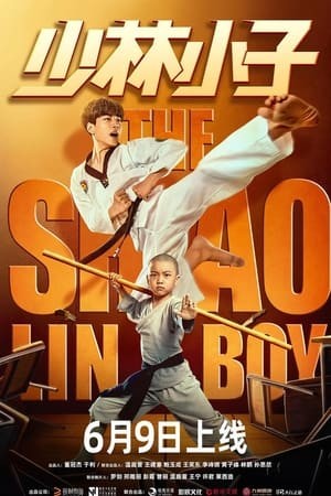 Thiếu Lâm Tiểu Tử - Shaolin boy