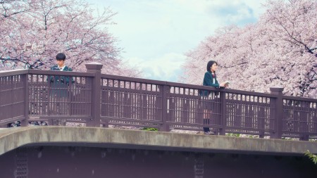 Tớ Muốn Ăn Tụy Của Cậu - Let Me Eat Your Pancreas